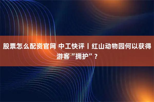 股票怎么配资官网 中工快评丨红山动物园何以获得游客“拥护”？